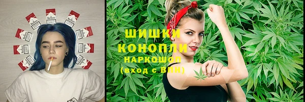 эйфоретик Аркадак