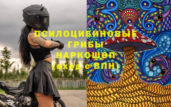эйфоретик Аркадак
