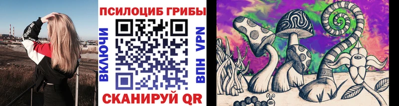 МЕГА маркетплейс  Усть-Джегута  Псилоцибиновые грибы Psilocybine cubensis 